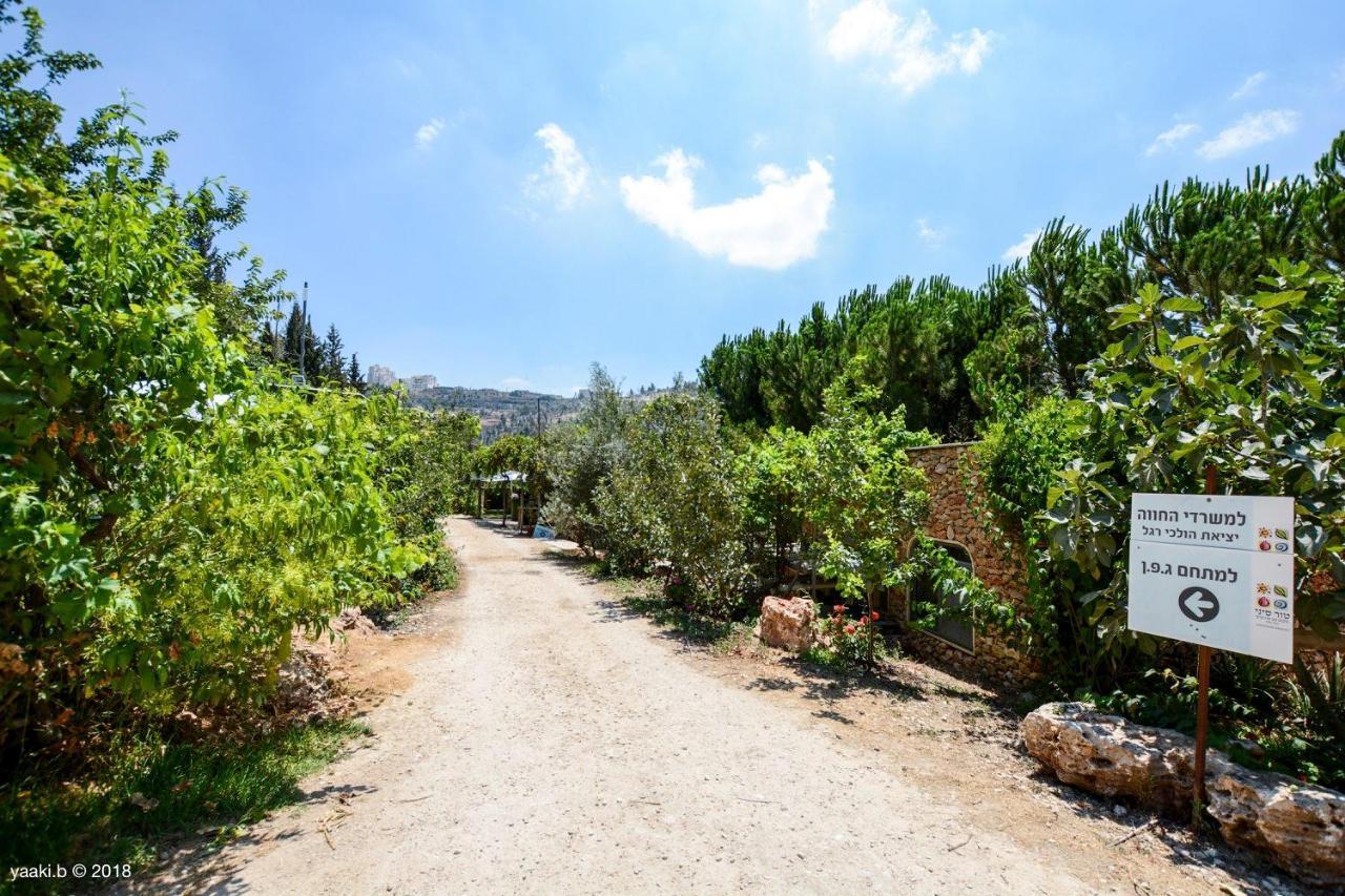 Tur Sinai Organic Farm Resort Jeruzsálem Kültér fotó