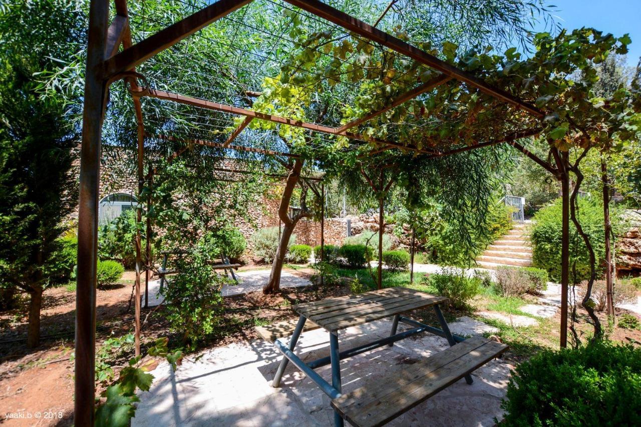 Tur Sinai Organic Farm Resort Jeruzsálem Kültér fotó