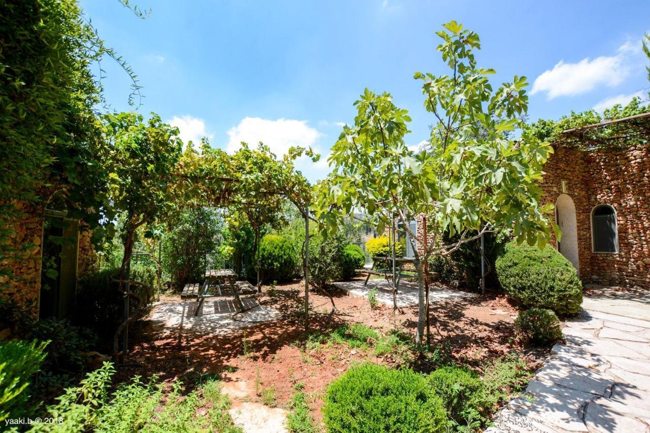 Tur Sinai Organic Farm Resort Jeruzsálem Kültér fotó