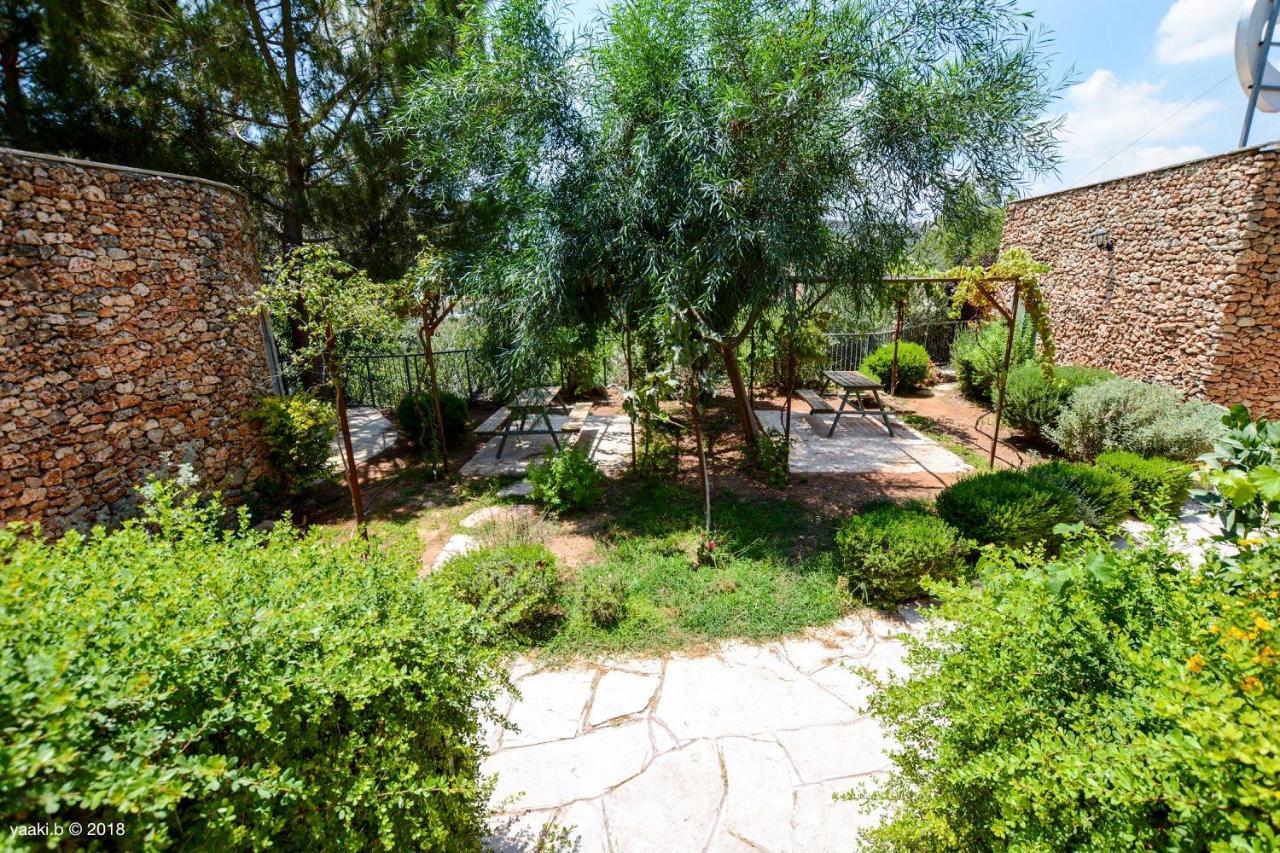 Tur Sinai Organic Farm Resort Jeruzsálem Kültér fotó