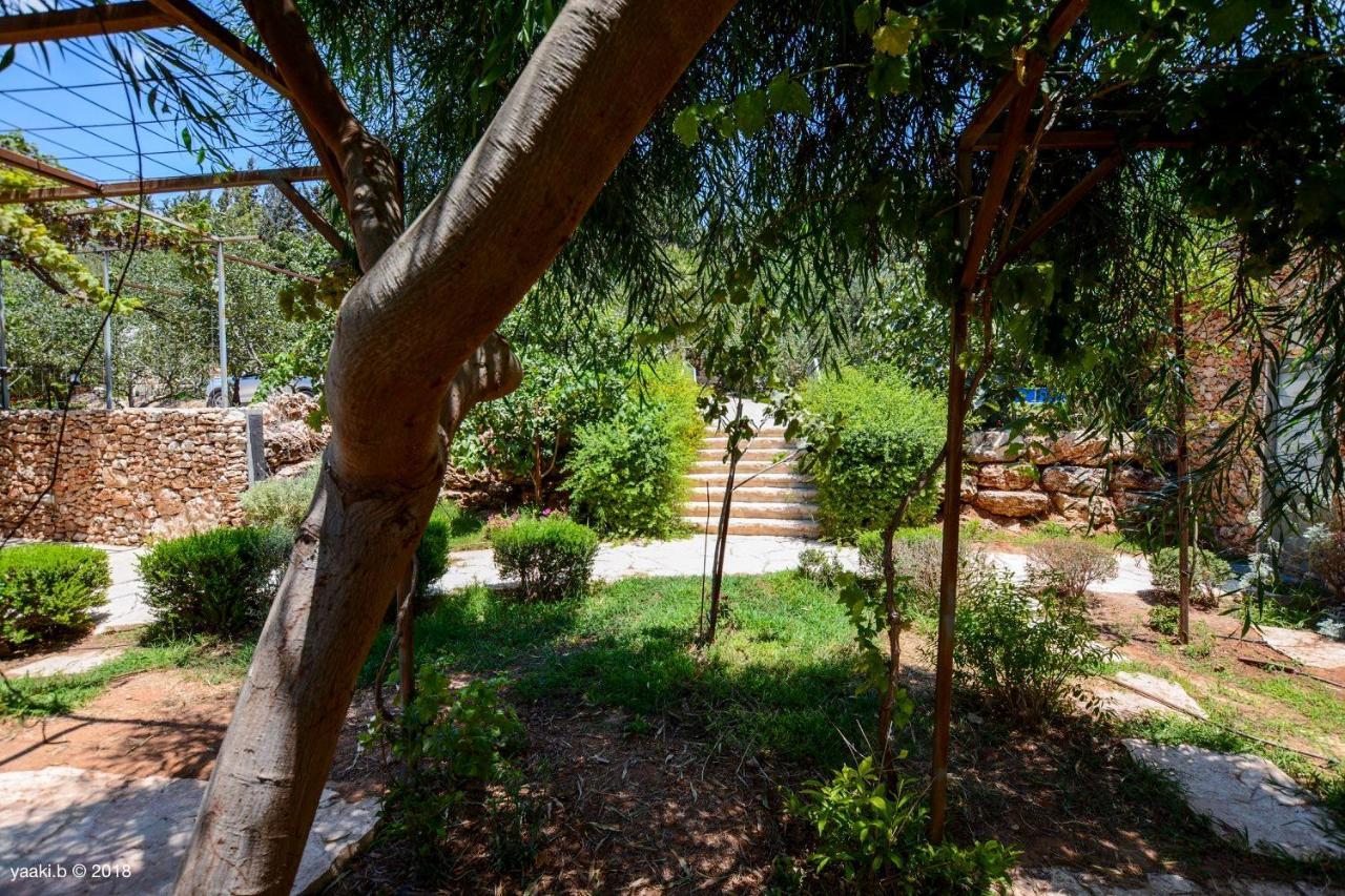Tur Sinai Organic Farm Resort Jeruzsálem Kültér fotó
