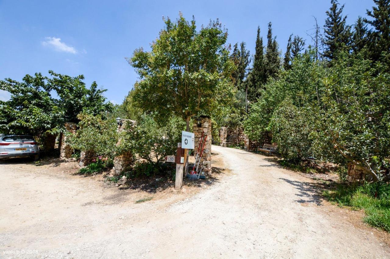 Tur Sinai Organic Farm Resort Jeruzsálem Kültér fotó