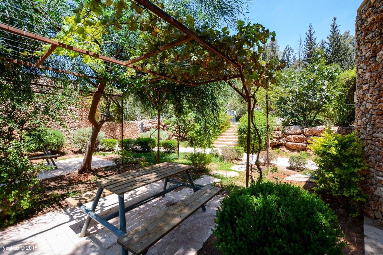 Tur Sinai Organic Farm Resort Jeruzsálem Kültér fotó