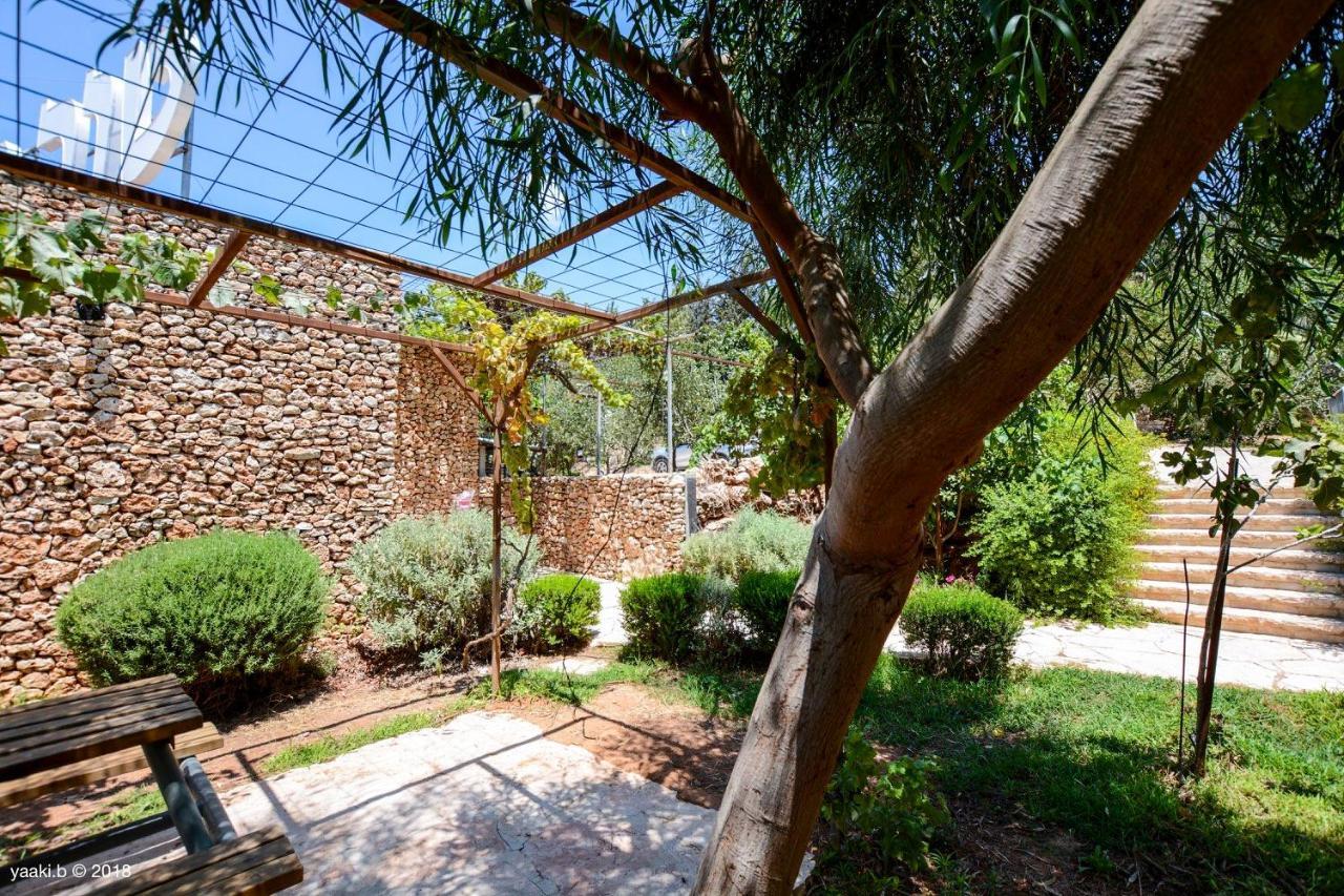 Tur Sinai Organic Farm Resort Jeruzsálem Kültér fotó