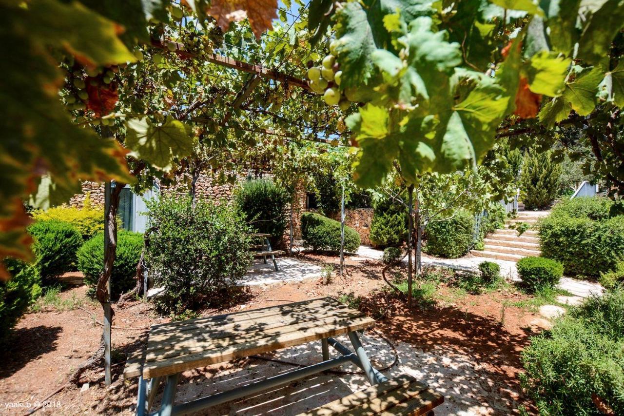 Tur Sinai Organic Farm Resort Jeruzsálem Kültér fotó