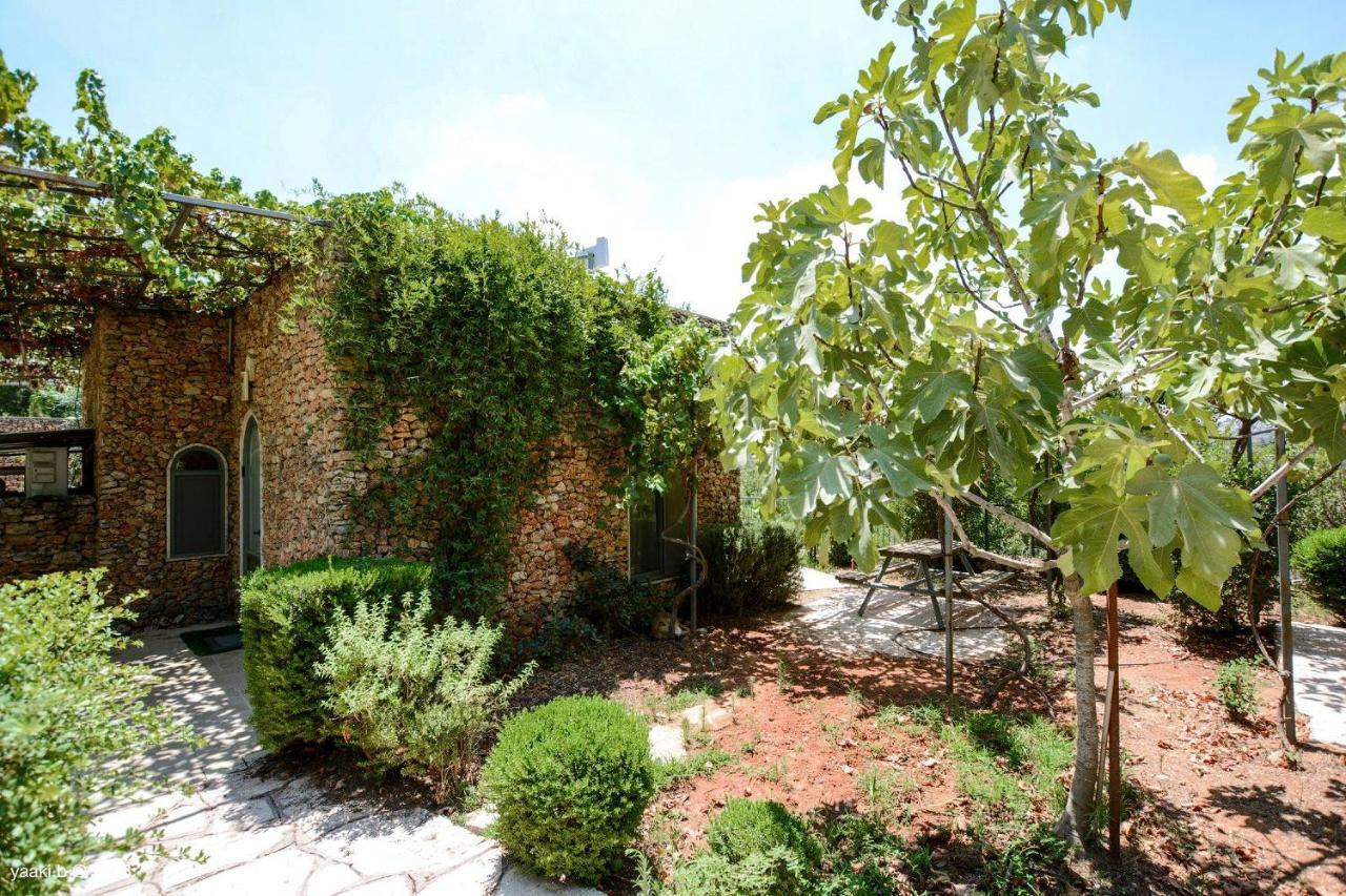 Tur Sinai Organic Farm Resort Jeruzsálem Kültér fotó