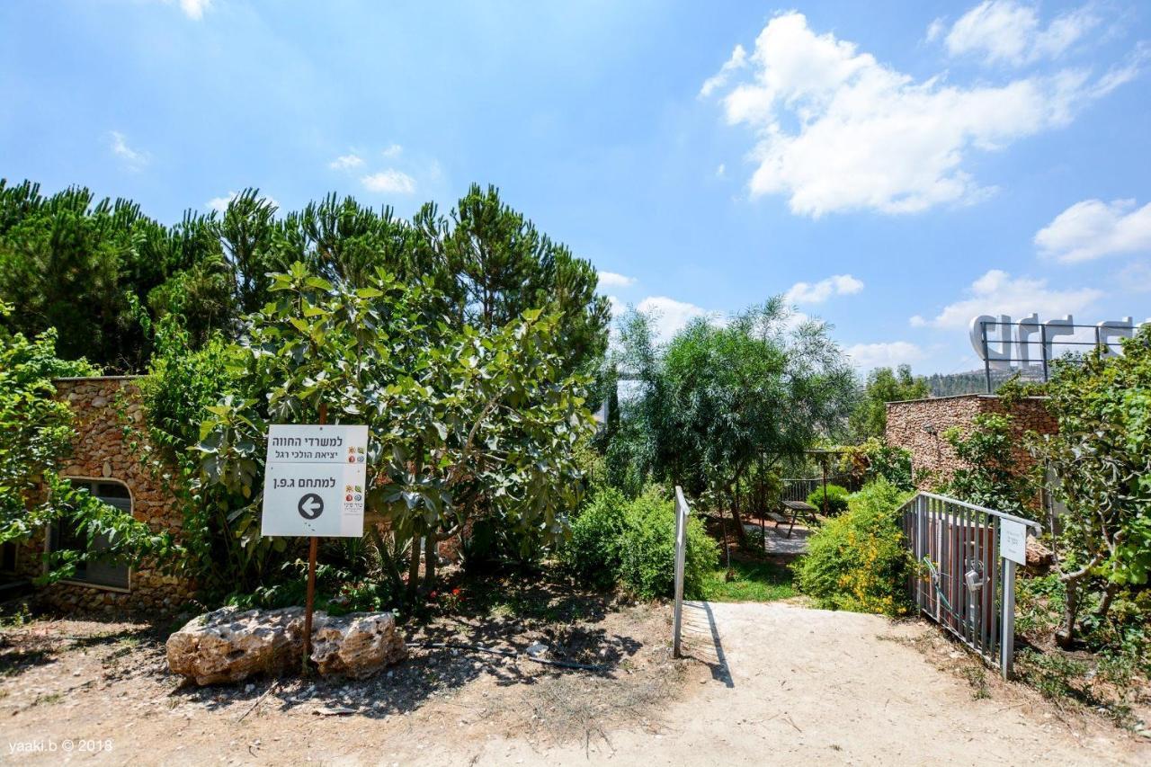 Tur Sinai Organic Farm Resort Jeruzsálem Kültér fotó