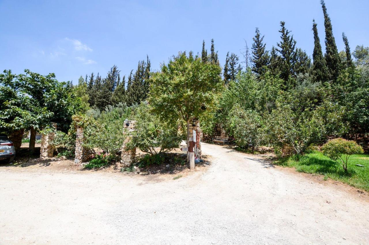 Tur Sinai Organic Farm Resort Jeruzsálem Kültér fotó