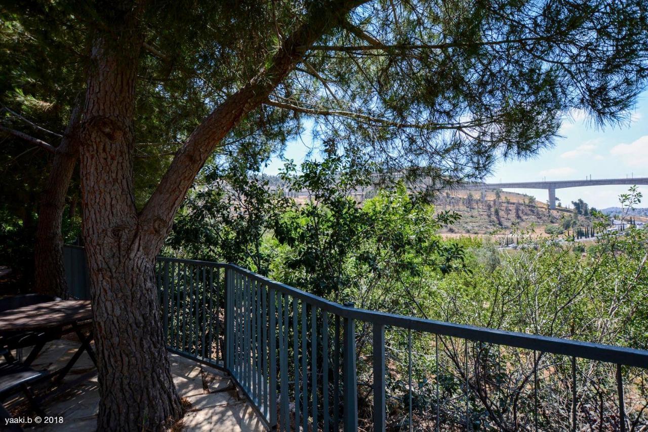 Tur Sinai Organic Farm Resort Jeruzsálem Kültér fotó